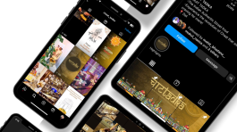 social media portfolio (1)