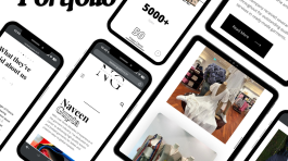 Website Portfolio (1)